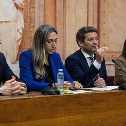 CHEGA aprova propostas contra abuso de menores e mutilação genital feminina