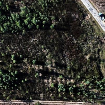 Lousã avança com parque de resíduos florestais em Foz de Arouce