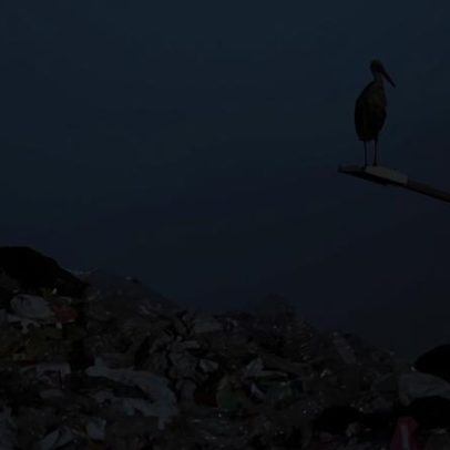 Autarcas pedem ao Governo que contenha taxa de resíduos incomportável