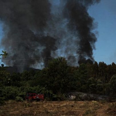 Fogos de grande dimensão registaram aumento notável em 2025