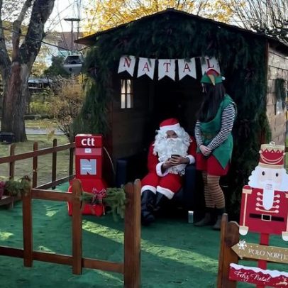 Jardim de Natal Encantado anima Tábua neste fim de semana