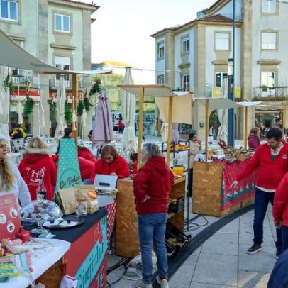 Mercadinho Sustentável de Natal em Santa Maria da Feira bate recorde