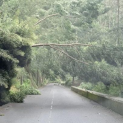 Queda de pedras e árvores dificulta circulação no Caminho dos Pretos