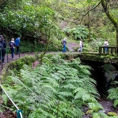 Turista alemão resgatado após mal-estar súbito na Levada dos Balcões