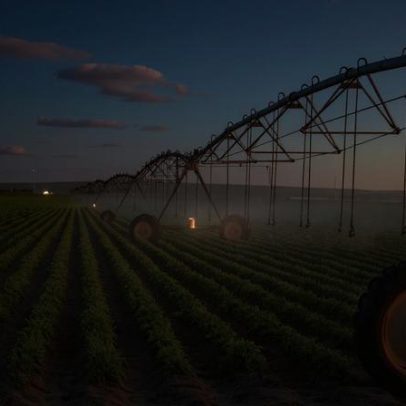 CNA alerta para cortes no Orçamento e defende a agricultura familiar