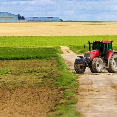 CNA alerta para cortes no Orçamento do Estado e defende a Agricultura Familiar