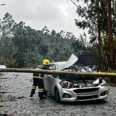 Mulher fica ferida quando árvore cai sobre viatura em Monte Córdova