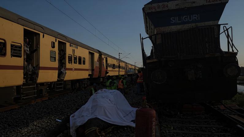 Comboio na Índia mata sete elefantes a atravessar os carris