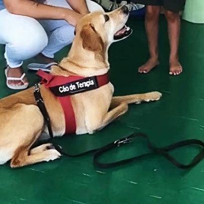 Santarém celebra Natal com Cãominhada para cães