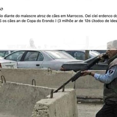 Foto sugere homem preparado para disparar contra um cão em Marrocos