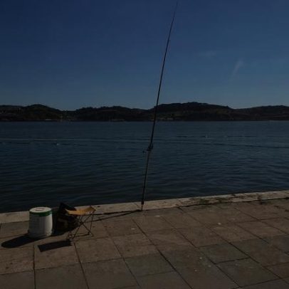 Andam à pesca de quê?