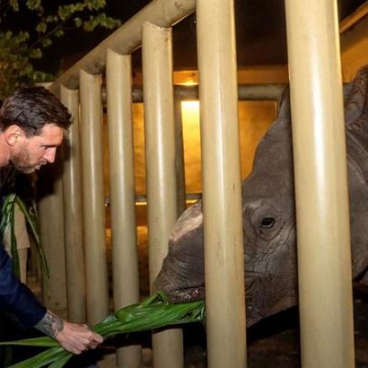Messi entre animais selvagens na Índia