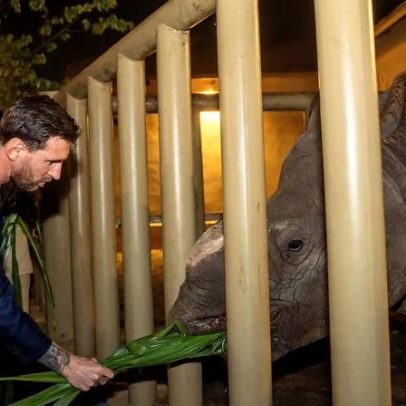 Messi entre animais selvagens na Índia