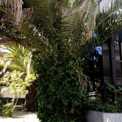 Desmantelada rede transnacional de branqueamento e evasão fiscal