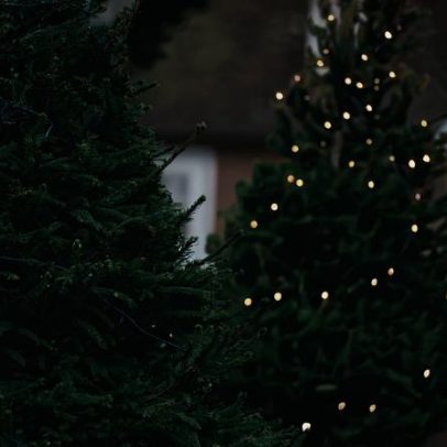Natal mais sustentável: guia prático para festas conscientes