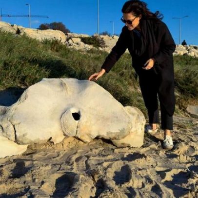 Osso de baleia milenar removido da praia para museu da Figueira da Foz