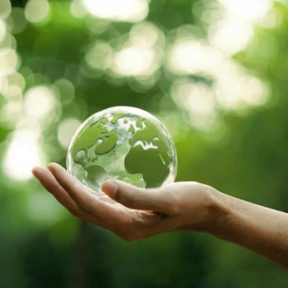 Restauro ecológico: caminho essencial para o futuro