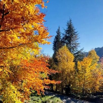 Cores do Outono embeleza a Serra da Estrela