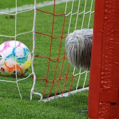 Incoerência vs Liderança: análise sobre gestão e coerência
