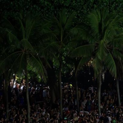 Palmeiras centenárias florescem pela primeira e única vez