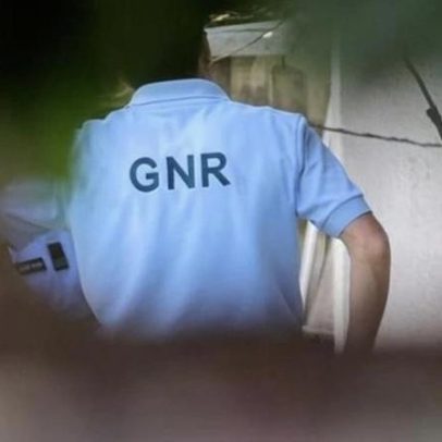 GNR detém suspeito de furto e apreende 300 kg de azeitona em Mourão