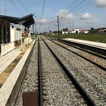 Linha de Vendas Novas recebe luz verde para modernização de 120 M€