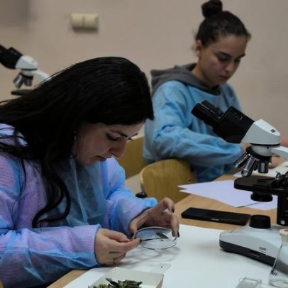Santarém acolhe curso internacional sobre regulação de fármacos veterinários vegetais