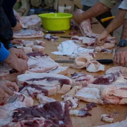 Aumento de infeções graves por listeriose na Europa