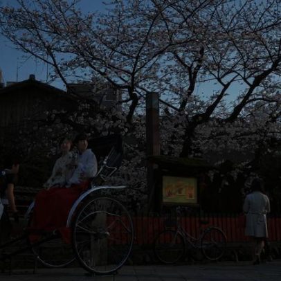 Crónica de Nuno Cardoso descreve o Japão com Arigato gozaimasu