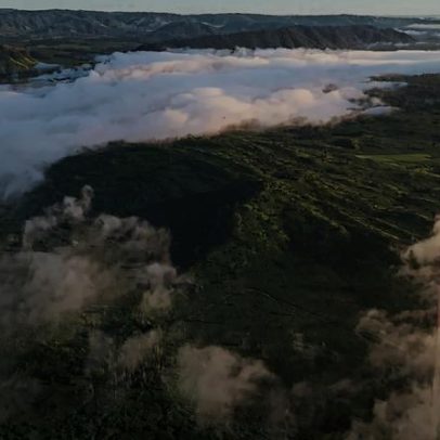 Corte de árvores na Amazónia diminuiu, mas região continua em risco