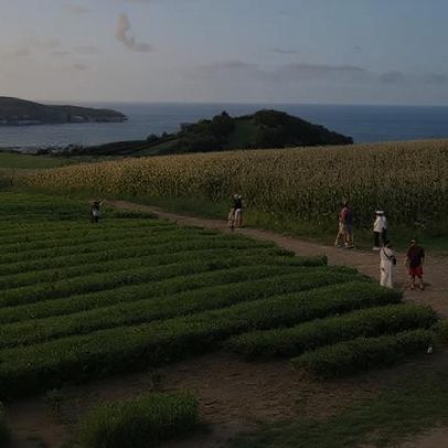 Açores voltam a registar queda no número de voos