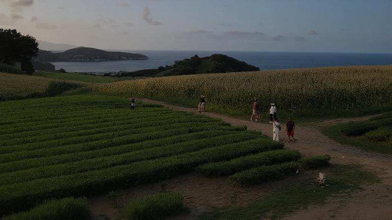 Último trimestre dos Açores marcado por redução de visitantes