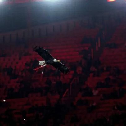Benfica anuncia sessão de esclarecimento sobre o projeto Benfica District