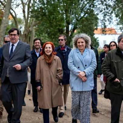 Projeto-piloto de Abrigos Climáticos inicia em Beja