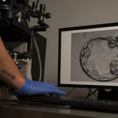 Cientistas implantam com sucesso embrião em endométrio artificial