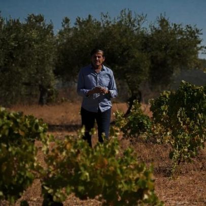 Rui Roboredo Madeira: vinhos de altitude e personalidade