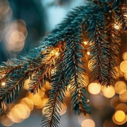 Cáritas Portalegre–Castelo Branco apela a doações para cabazes de Natal