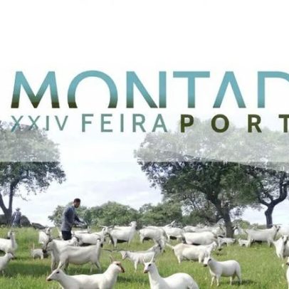 Portel encerra a Feira do Montado com passeio pedestre e desfile de moda