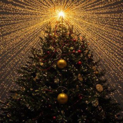 Portalegre investe 15 mil euros em iluminação de Natal