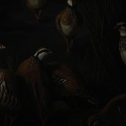 Exposição de artes plásticas na Sociedade Recreativa de Vila Fernando, Elvas