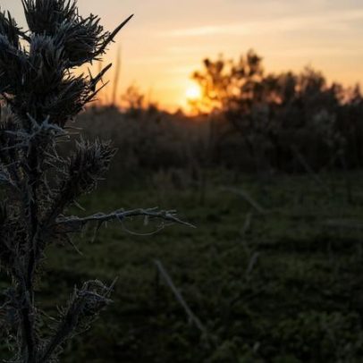 Fim de ano com nevoeiros persistentes e temperaturas negativas no interior