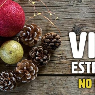 Estremoz inaugura a exposição VIVE Estremoz no Natal a 9 de dezembro