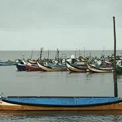 CMA celebra Barco Moliceiro em Património Imaterial sob Salvaguarda Urgente