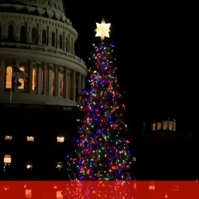 Capitólio acende a árvore de Natal de 2025