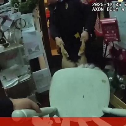 Rena entra numa loja de Natal e fica com a cabeça presa numa cadeira