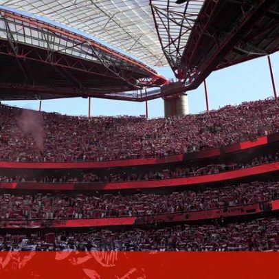 Record antecipa prognósticos para Benfica-PSG
