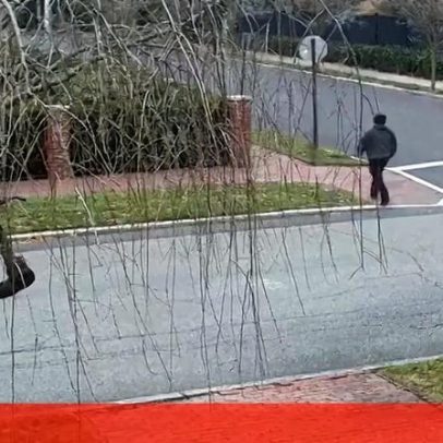 Trump suspende programa de vistos para português ligado à morte de Nuno Loureiro