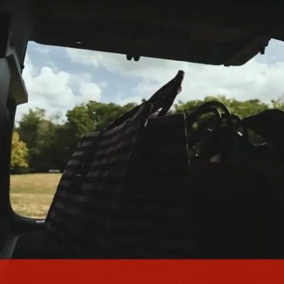 Mitsubishi Grandis segue caminhos semelhantes ao Renault Symbioz