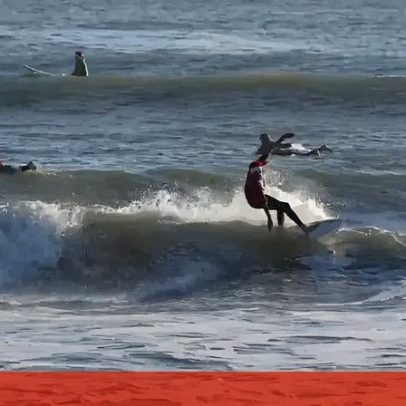 Pais Natais surfam nas praias da Flórida numa tradição de Natal