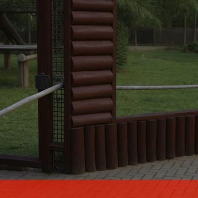 Defensor do Real Madrid enfrenta leão em desafio simbólico